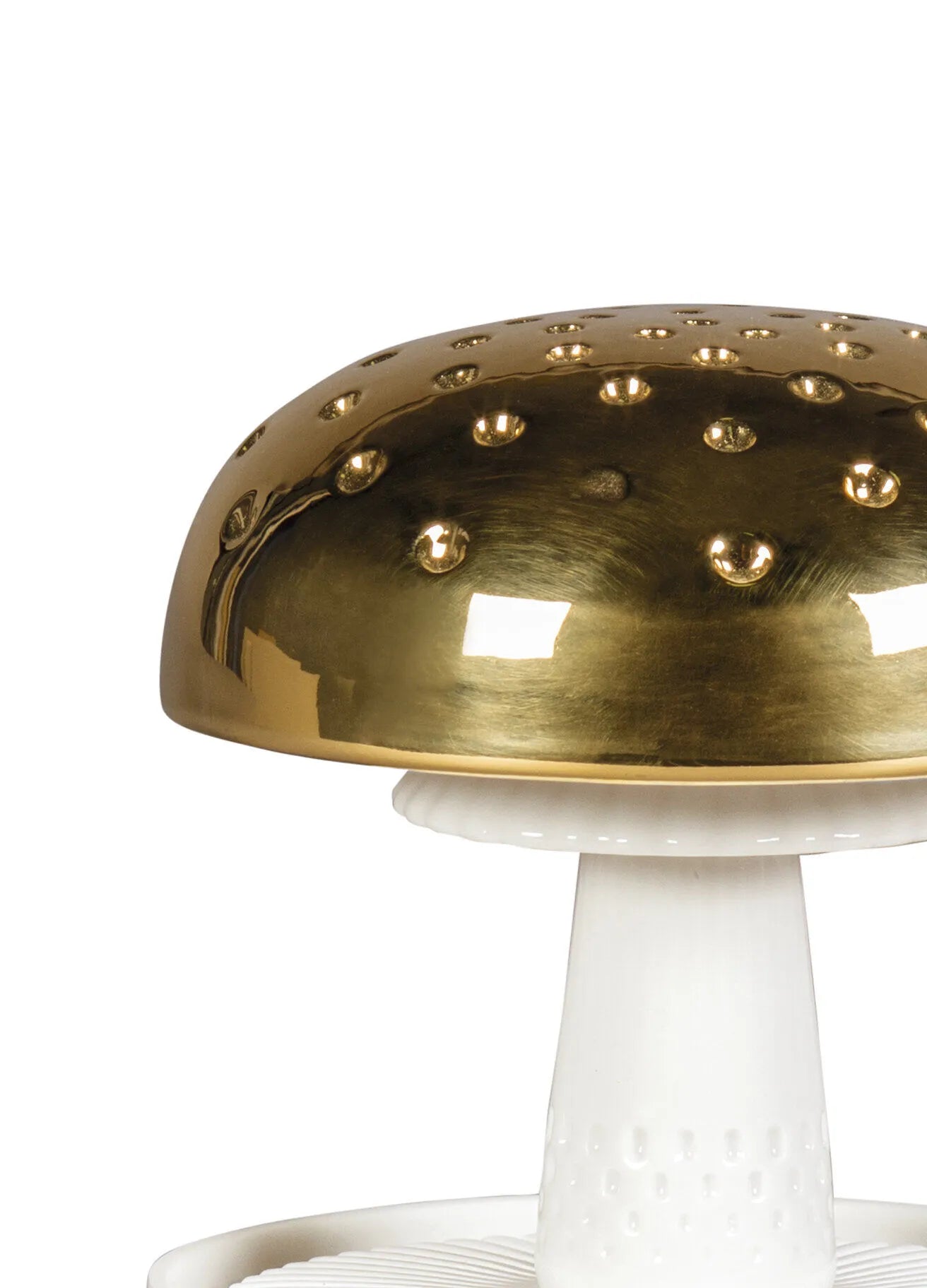 BOLETUS 1 DIFFUSER