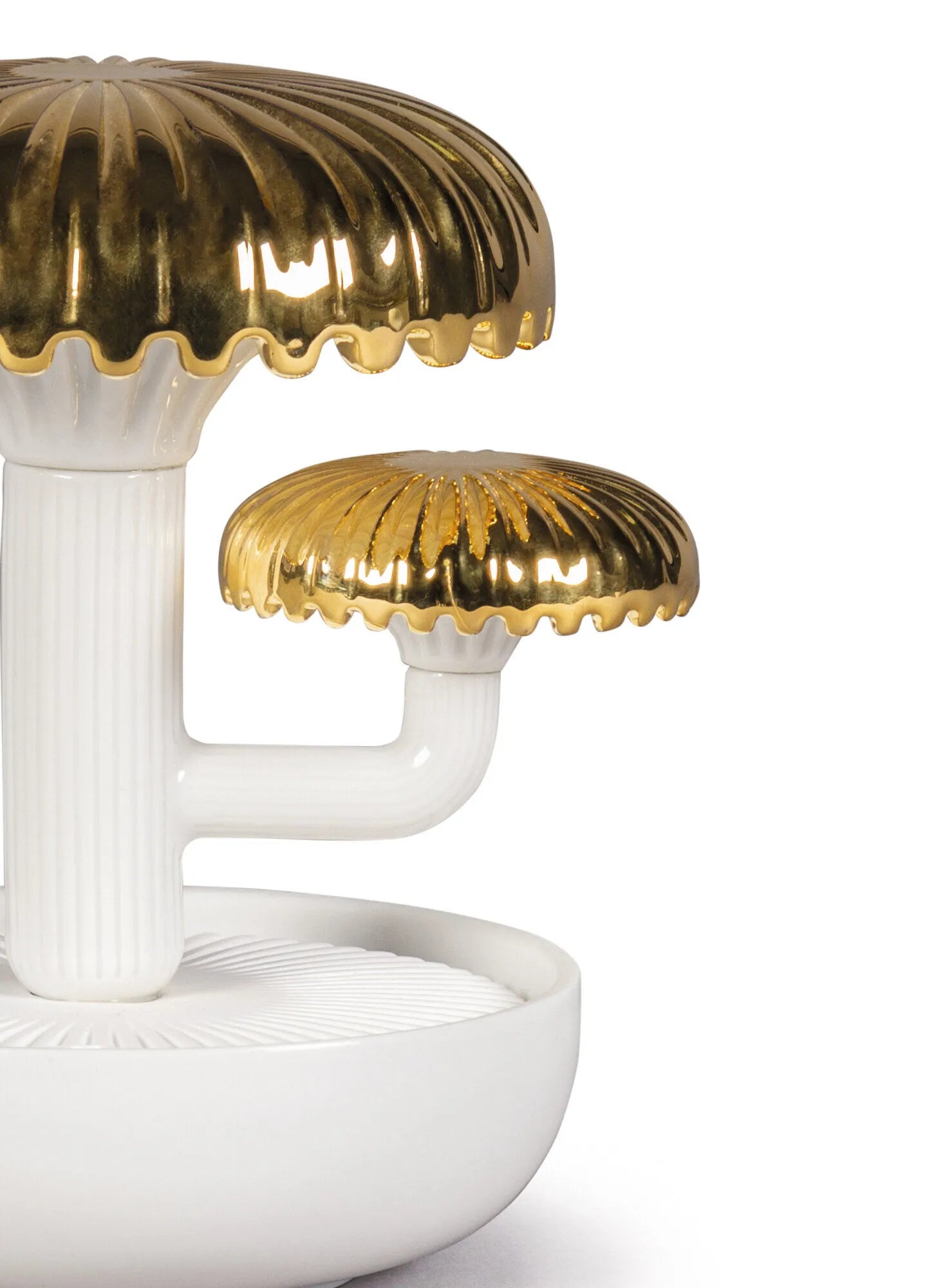BOLETUS 2 DIFFUSER