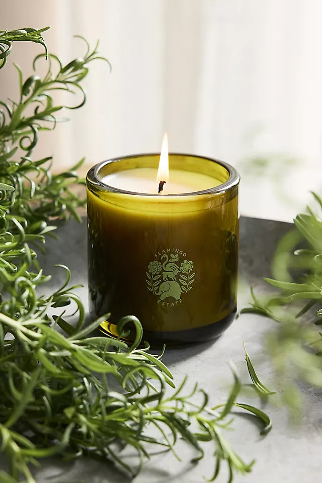 OLIVE TREE CANDLE