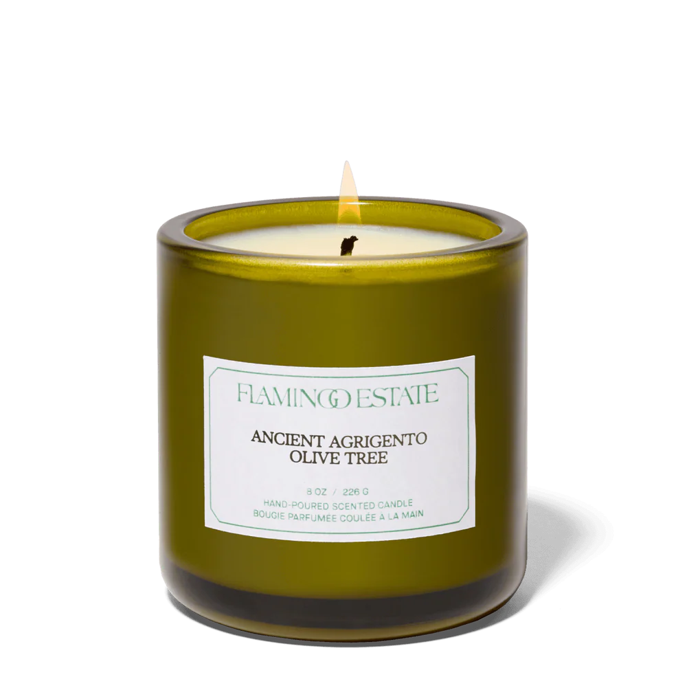 OLIVE TREE CANDLE