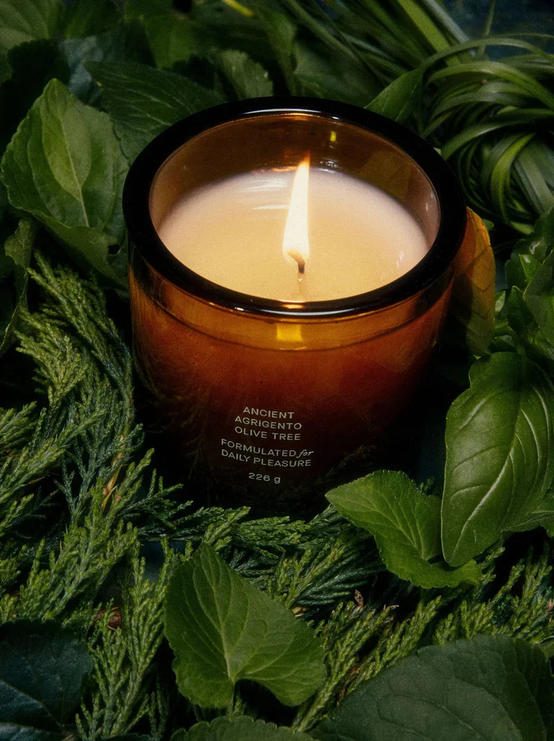 OLIVE TREE CANDLE