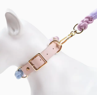 LEATHER DOG COLLAR COLORFUL