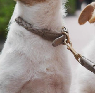 LEATHER DOG COLLAR GREY