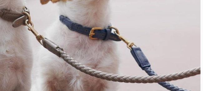 DOG LEASH GREY