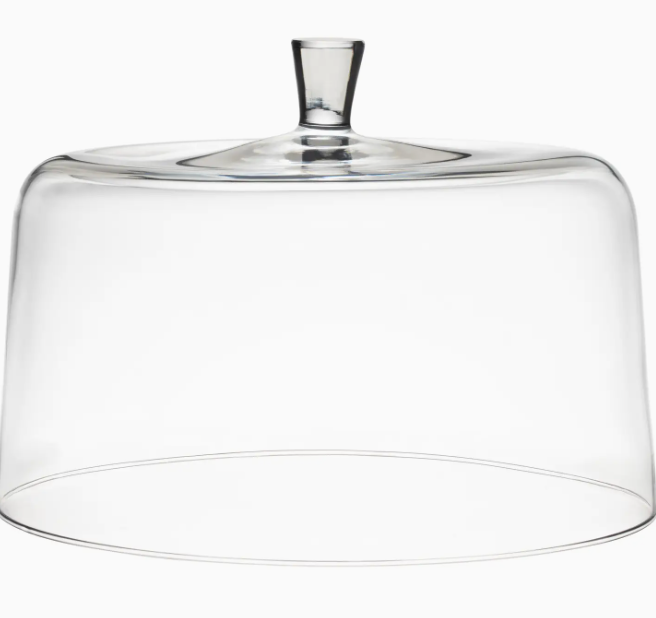 LUMINOUS LARGE CLEAR DOME 11.5" D