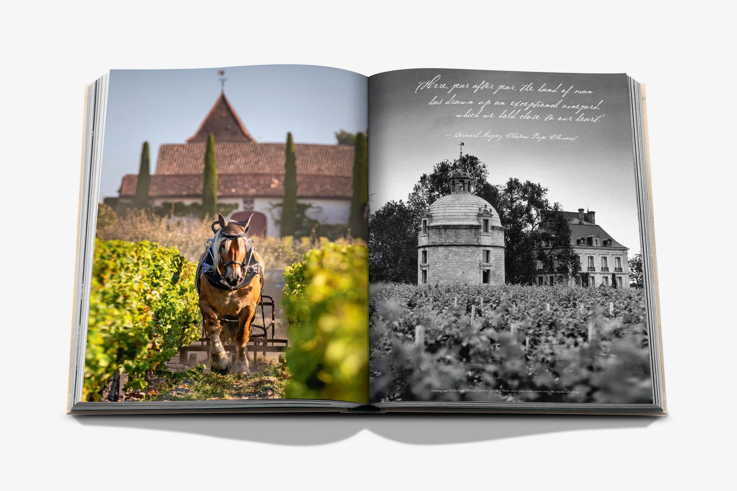 WINE & TRAVEL FRANCE