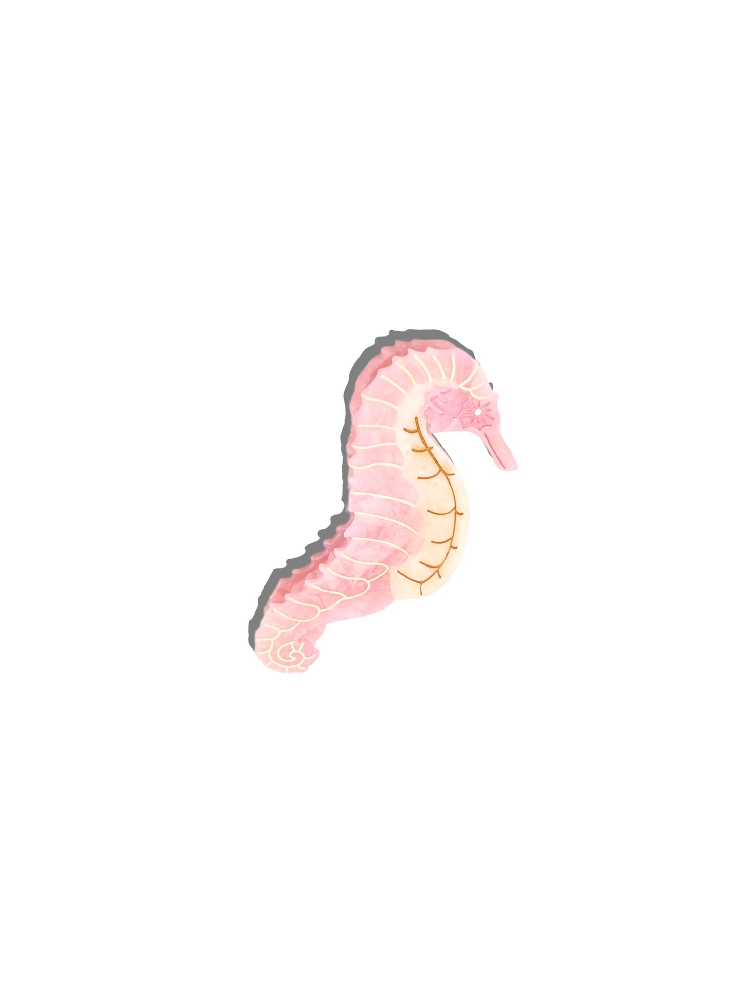 CLAW HAIR CLIP