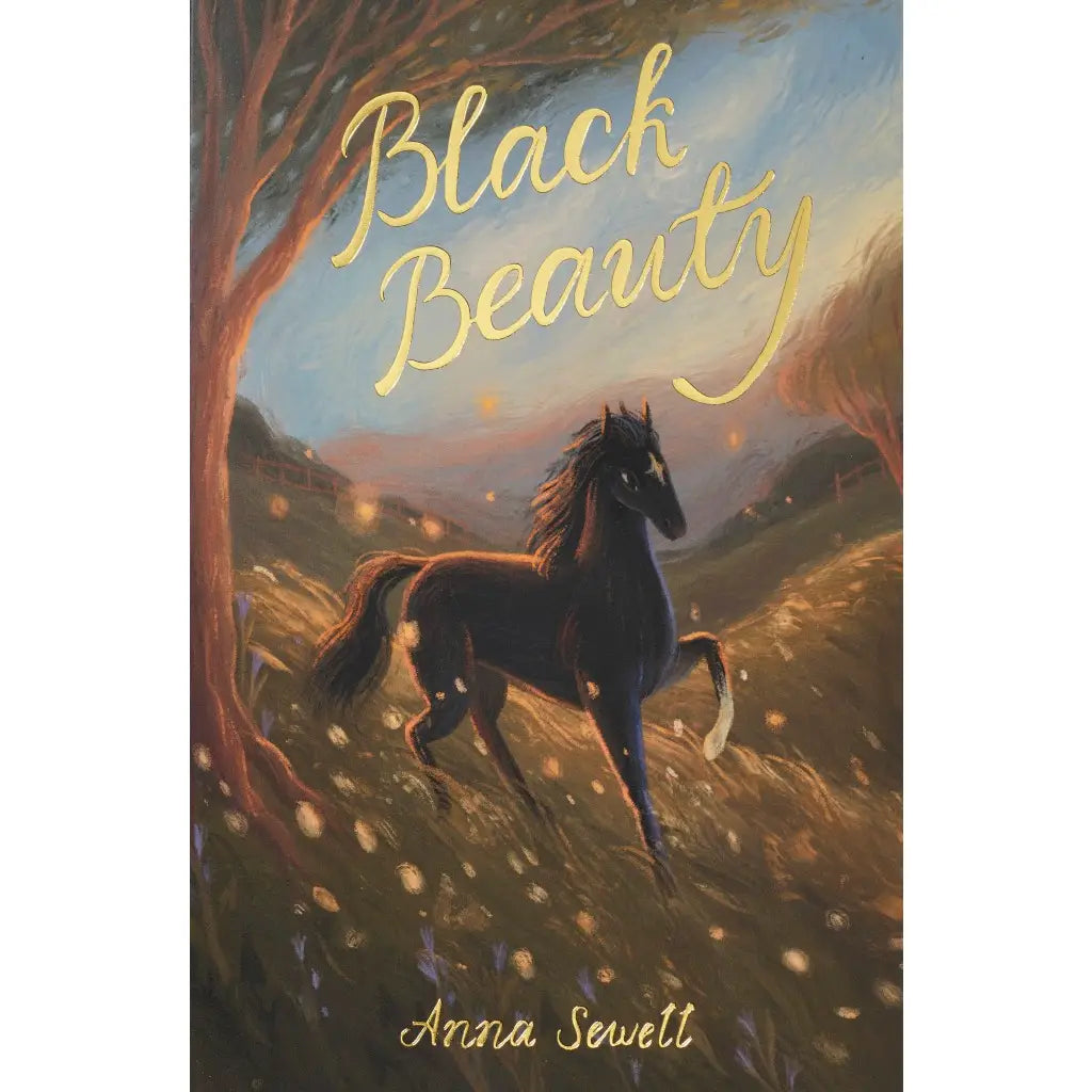 BLACK BEAUTY BOOK