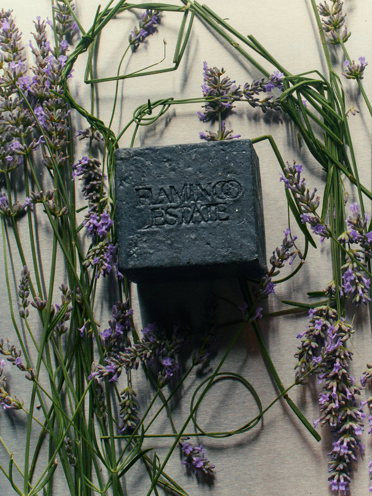 NOIR EARTH SOAP BRICK