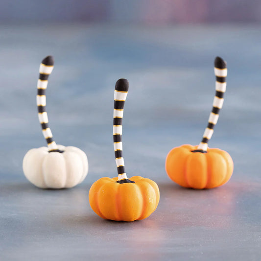 ORANGE AND CREAM PUMPKINS